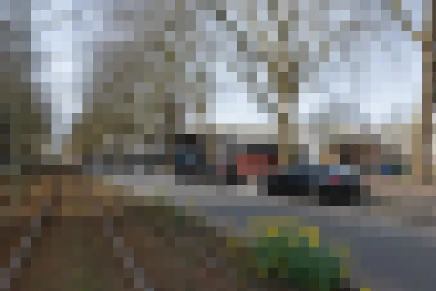 Zwedenburg 166 Den Haag thumbnail 19