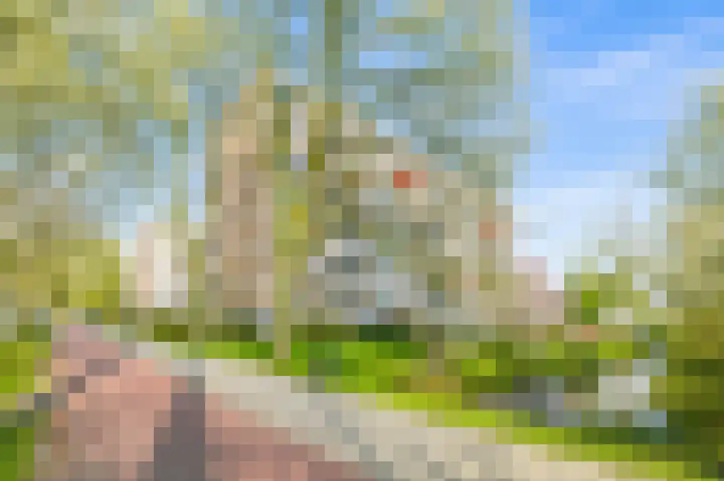 Zwedenburg 17 Den Haag thumbnail 27
