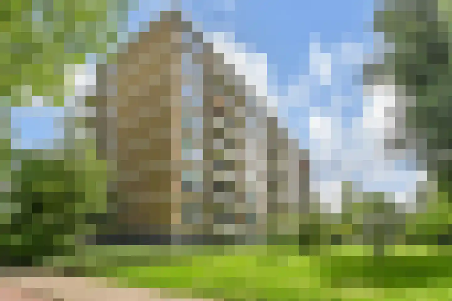 Zwedenburg 184 Den Haag thumbnail 37