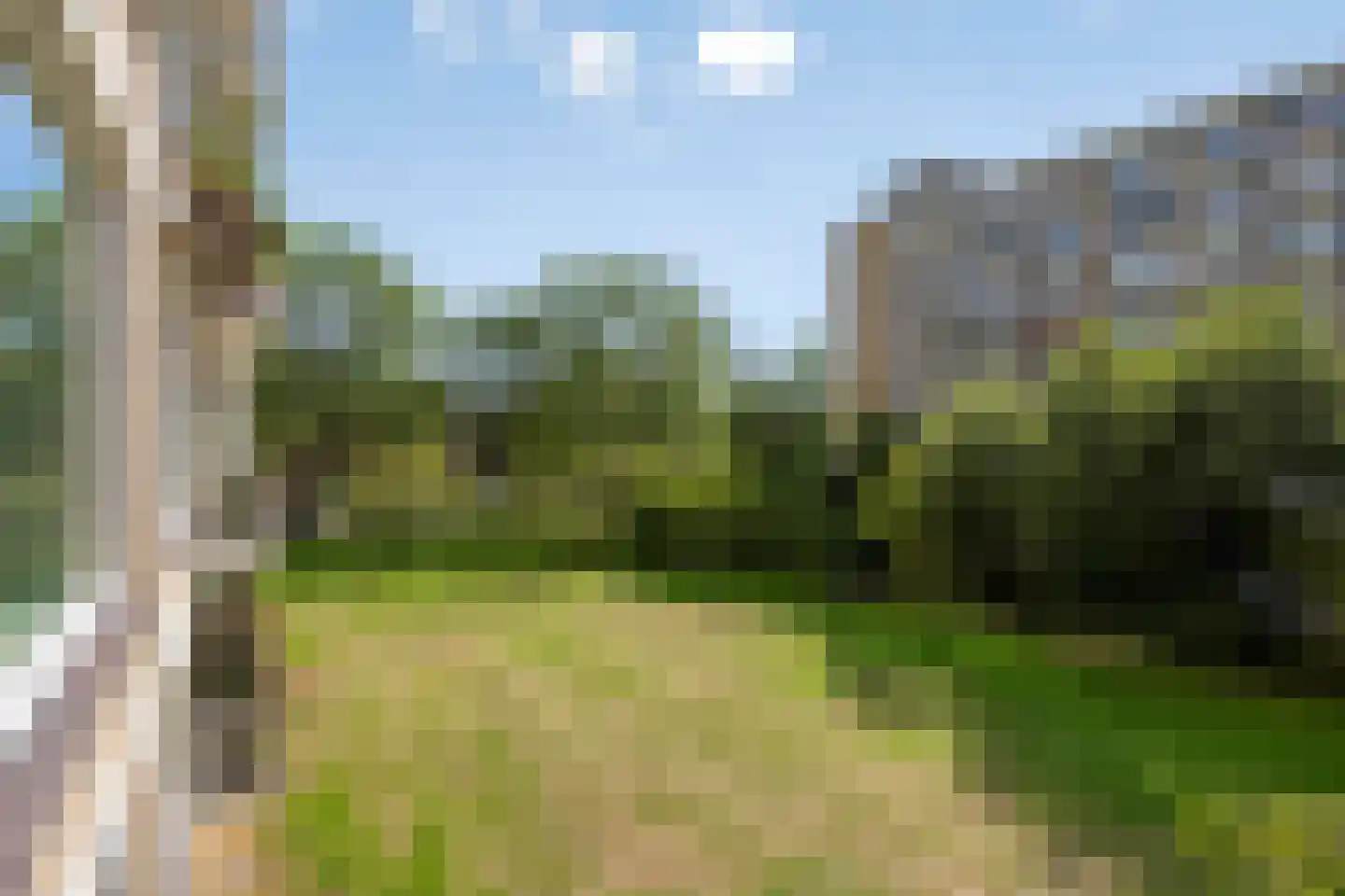 Zwedenburg 224 Den Haag thumbnail 32
