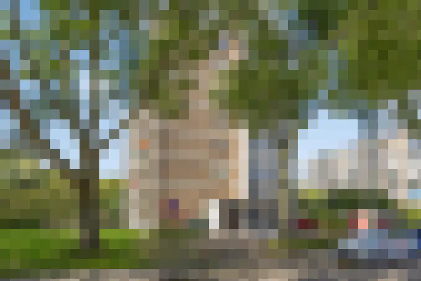 Zwedenburg 224 Den Haag thumbnail 33