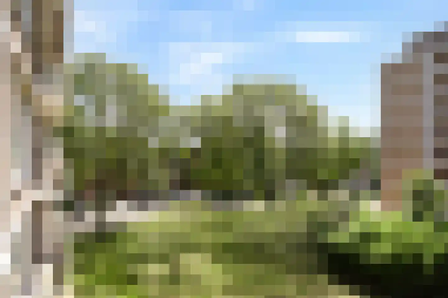 Zwedenburg 238 Den Haag thumbnail 15