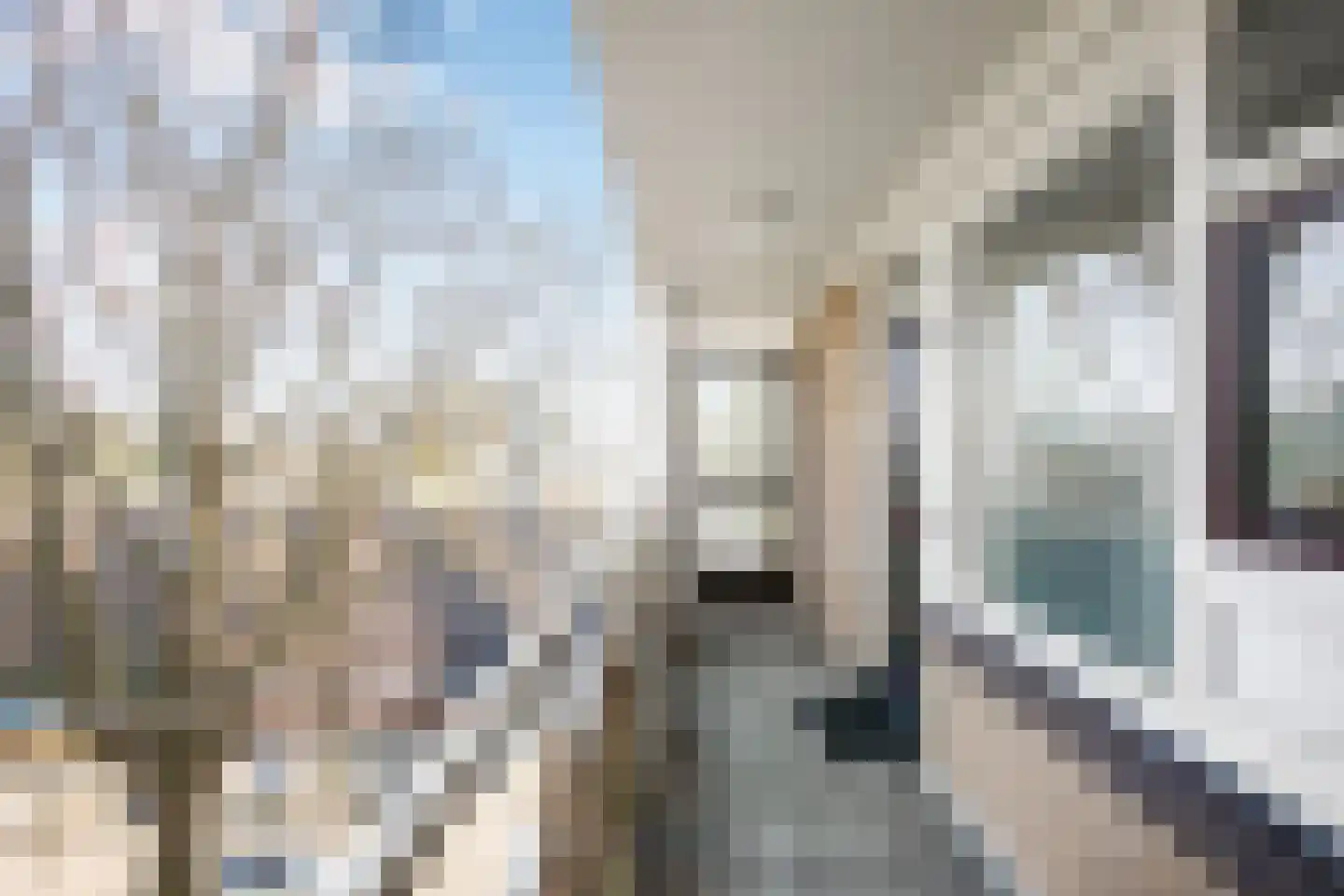 Zwedenburg 258 Den Haag thumbnail 9