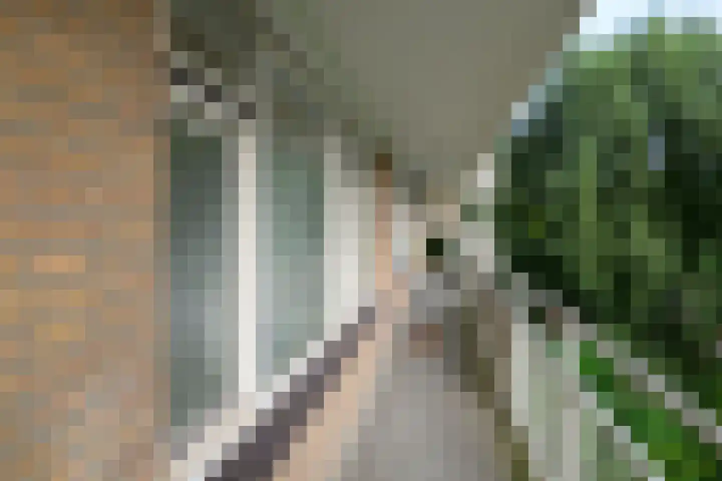 Zwedenburg 346 Den Haag thumbnail 19