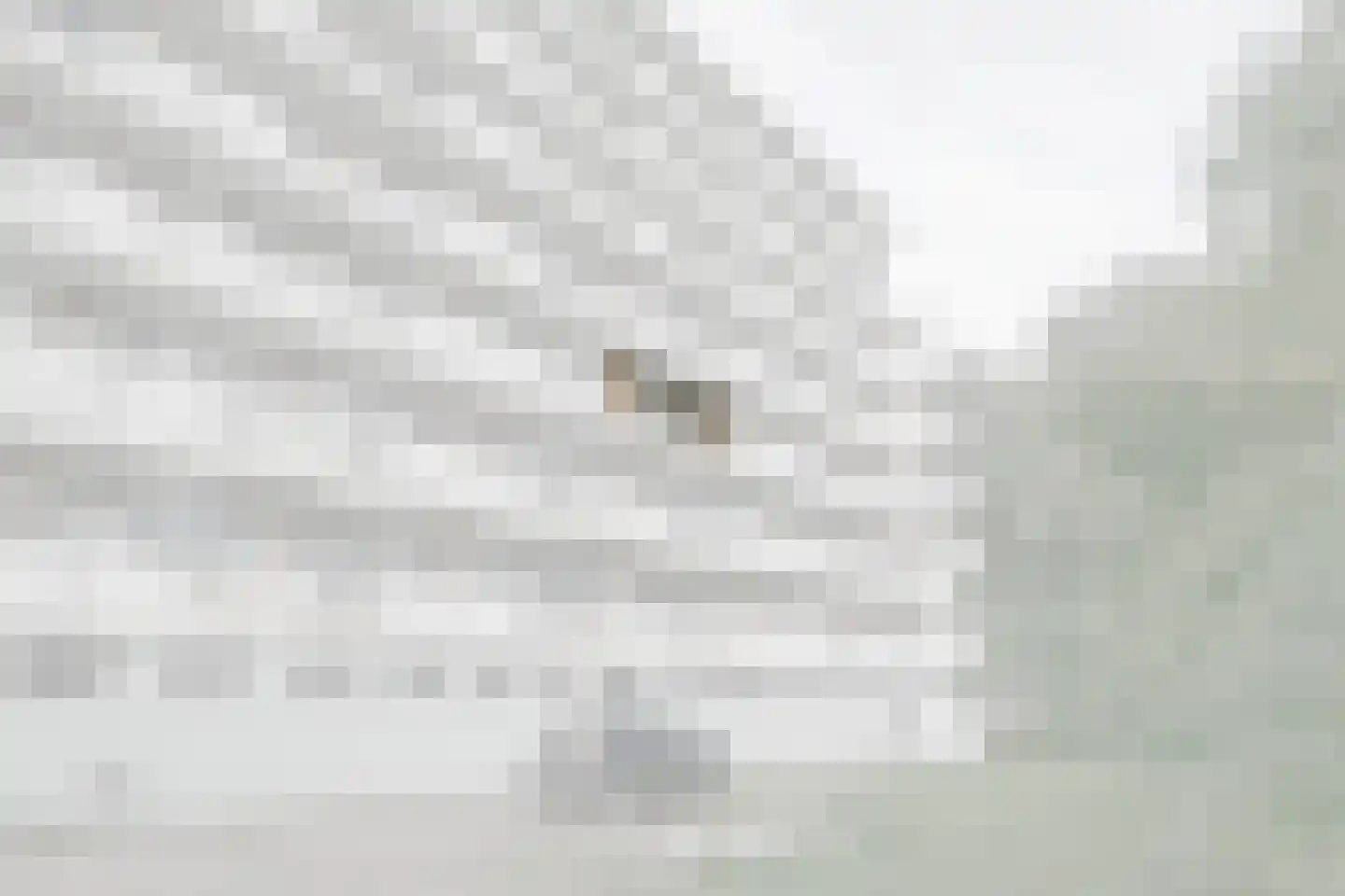 Zwedenburg 346 Den Haag thumbnail 6