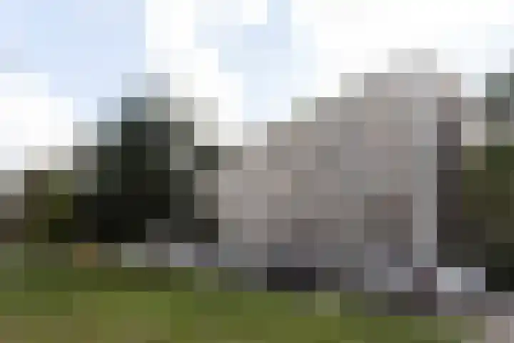 Zwedenburg 47 Den Haag thumbnail 32