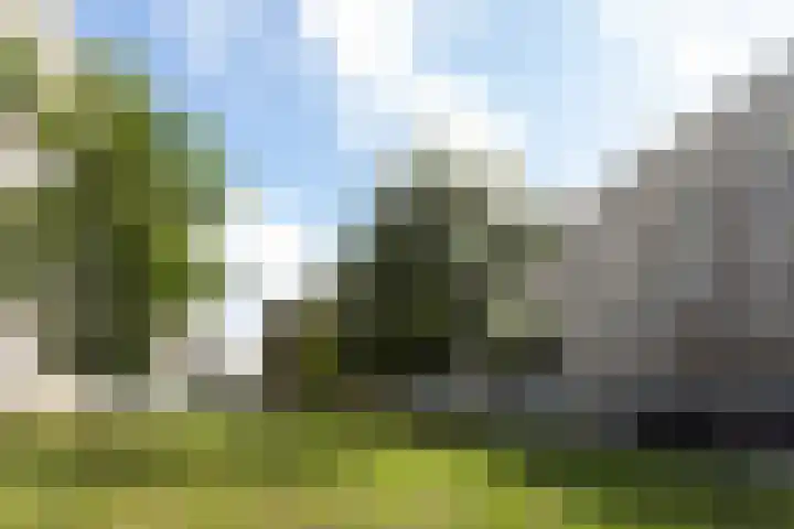 Zwedenburg 47 Den Haag thumbnail 33