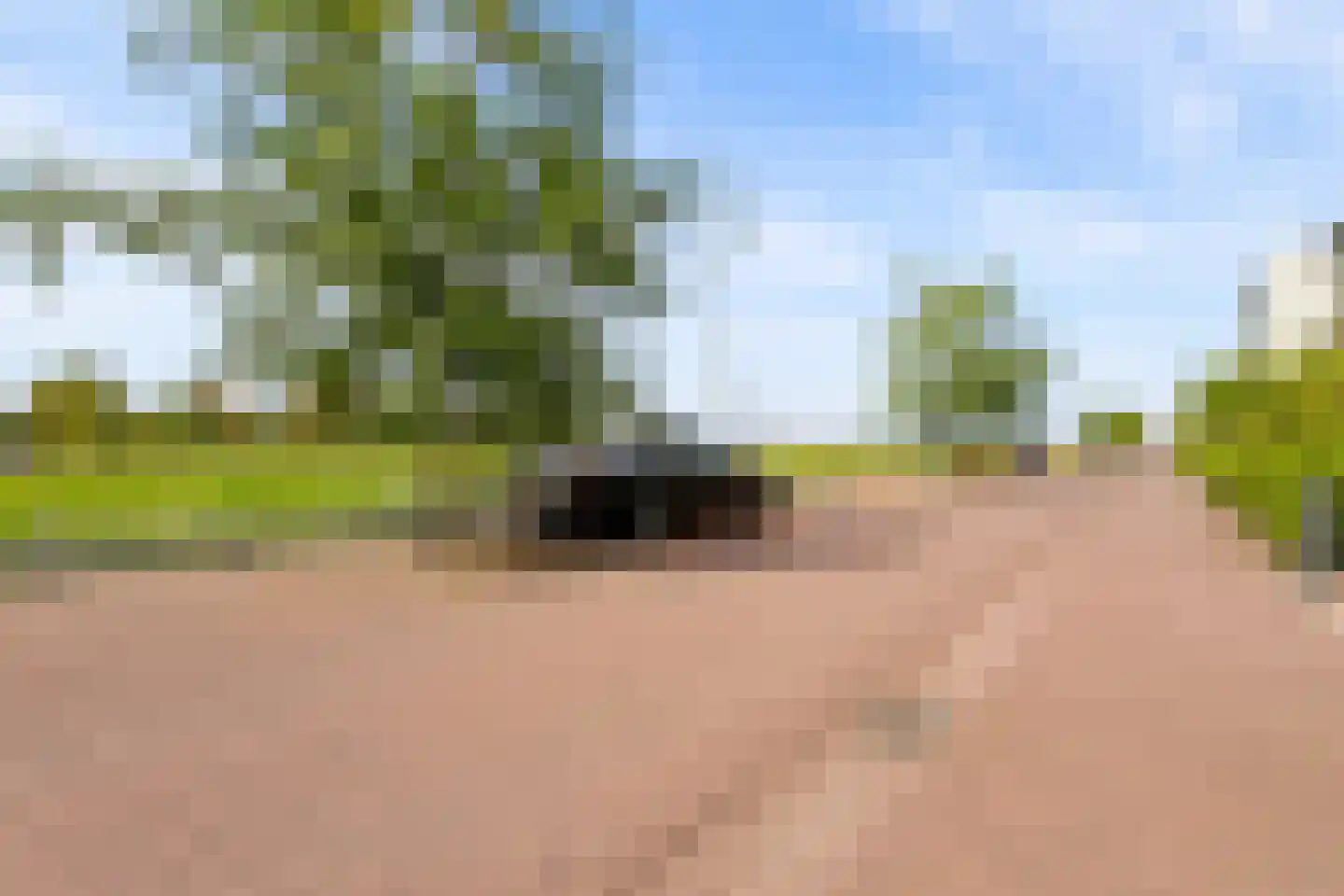 Zwedenhof 4 Almere thumbnail 50