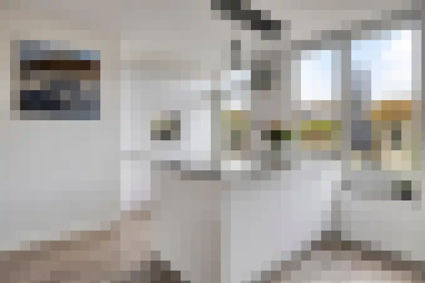 Zwedenpad 15 Bergen op Zoom thumbnail 11