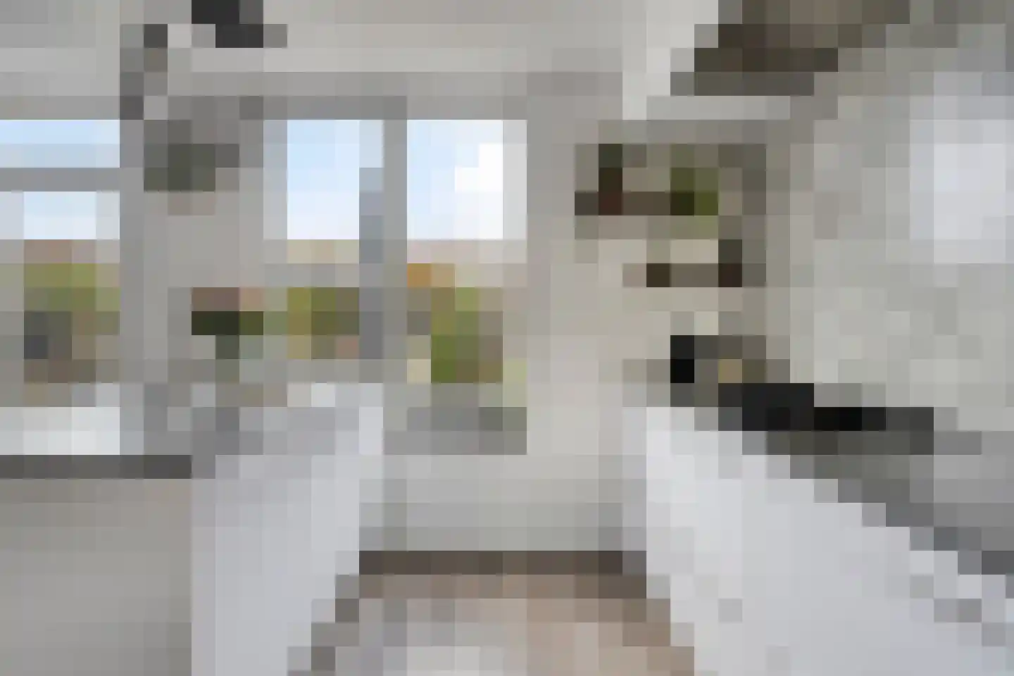Zwedenpad 15 Bergen op Zoom thumbnail 14