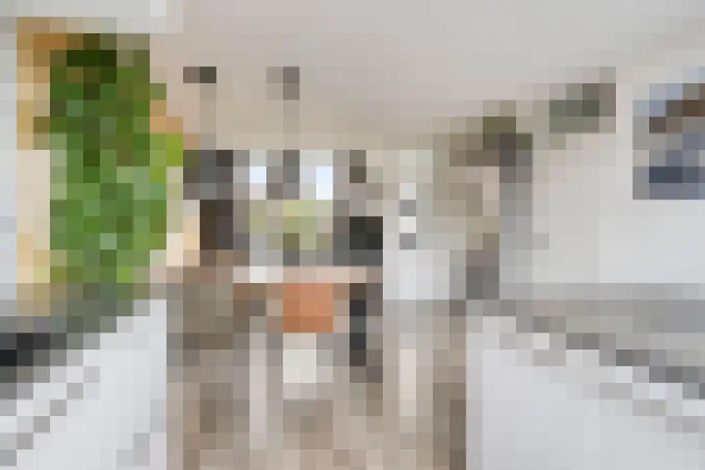 Zwedenpad 15 Bergen op Zoom thumbnail 15