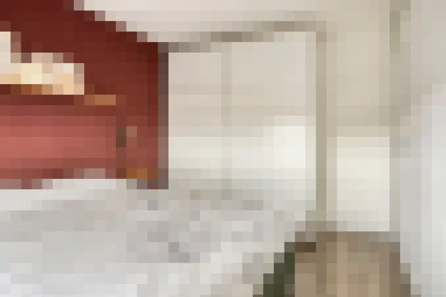 Zwedenpad 15 Bergen op Zoom thumbnail 18