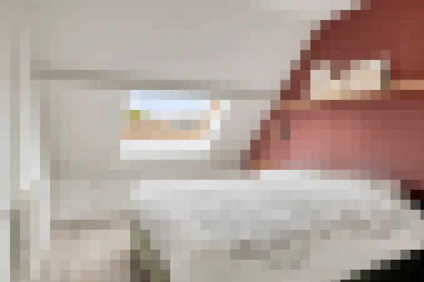 Zwedenpad 15 Bergen op Zoom thumbnail 4