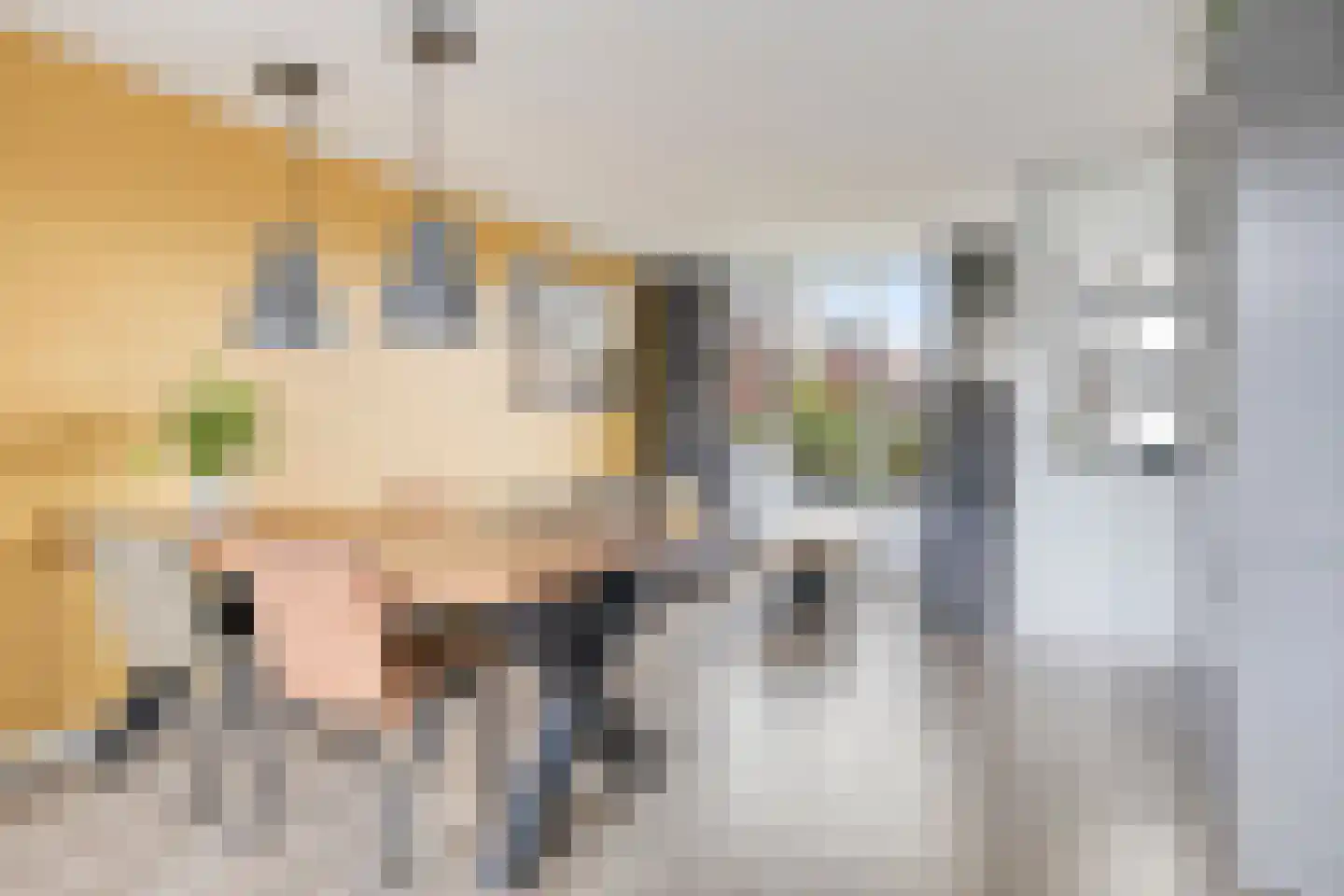 Zwedenpad 15 Bergen op Zoom thumbnail 7