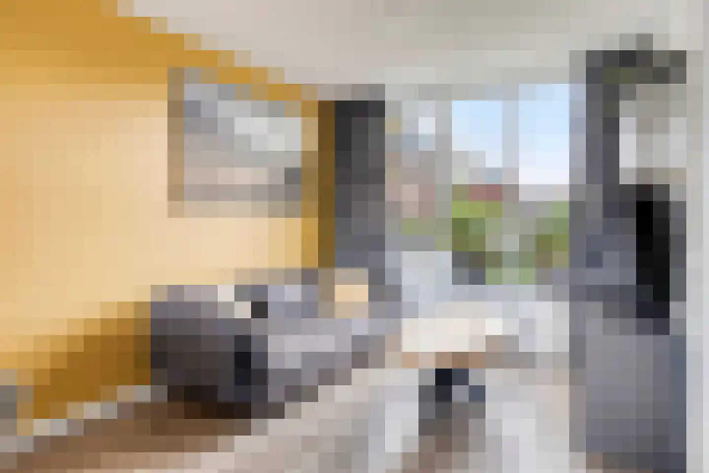 Zwedenpad 15 Bergen op Zoom thumbnail 8