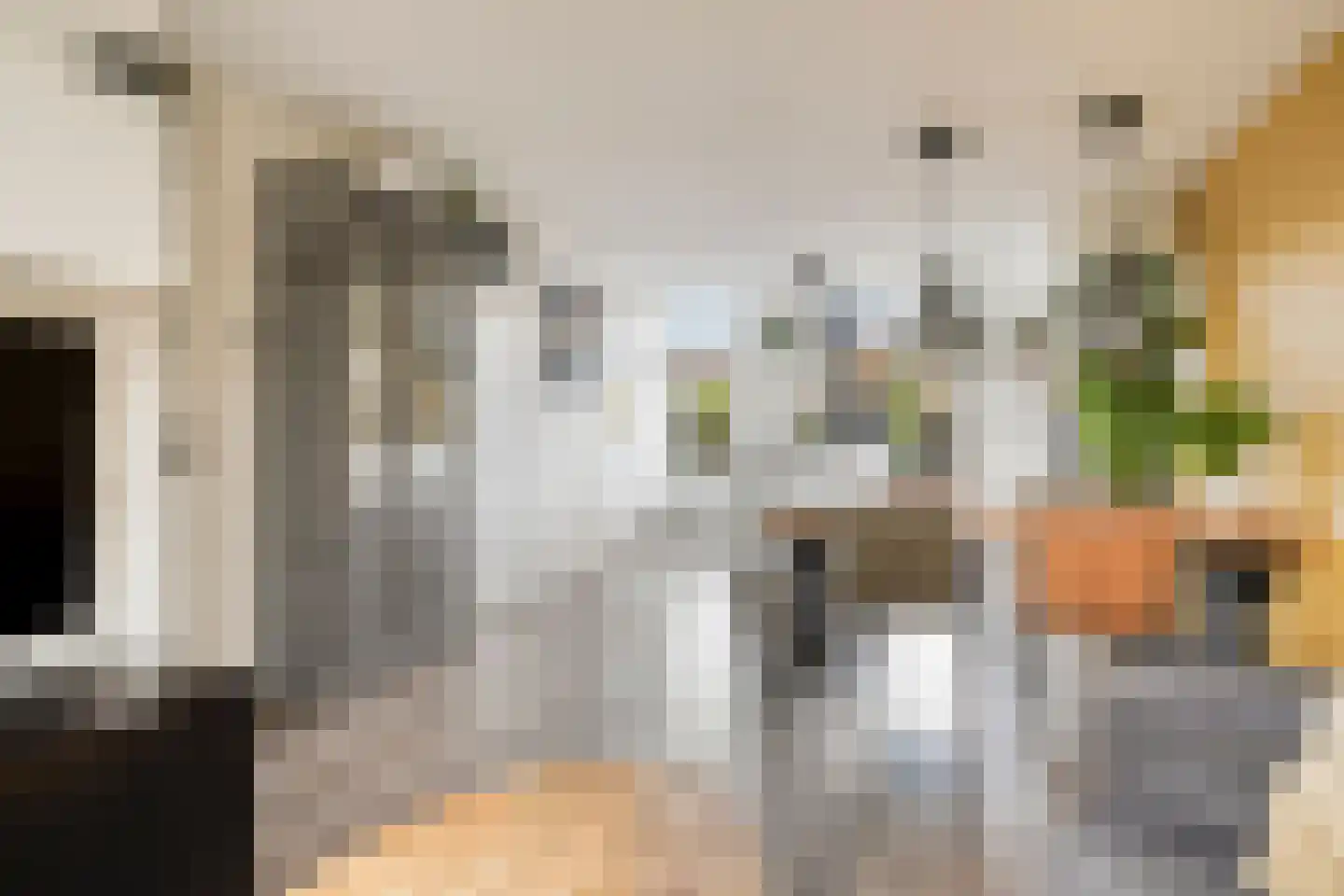Zwedenpad 15 Bergen op Zoom thumbnail 9