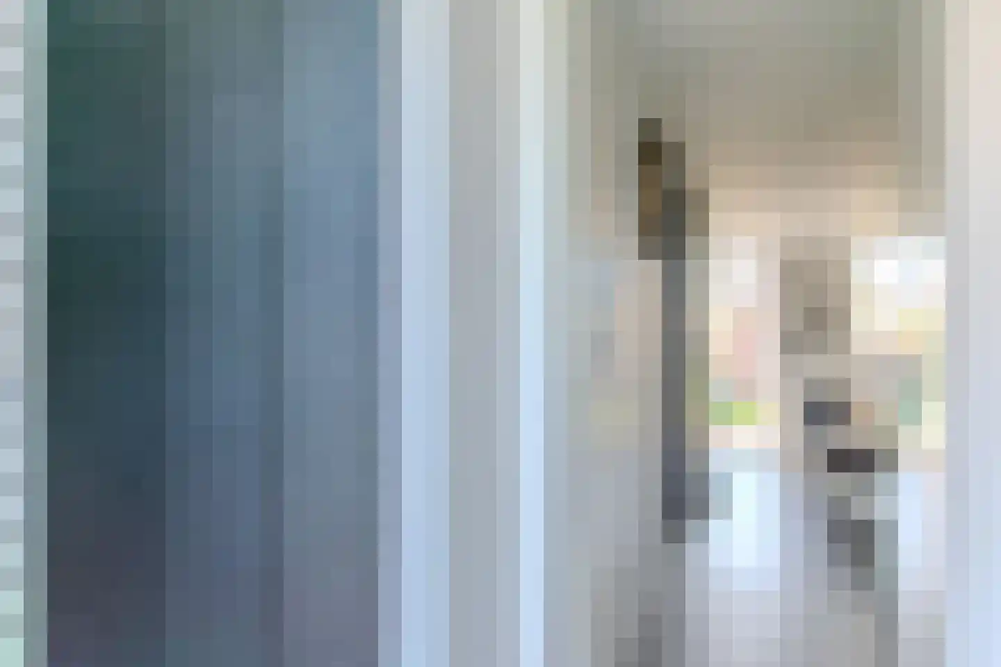 Zwedenpad 7 Bergen op Zoom thumbnail 10