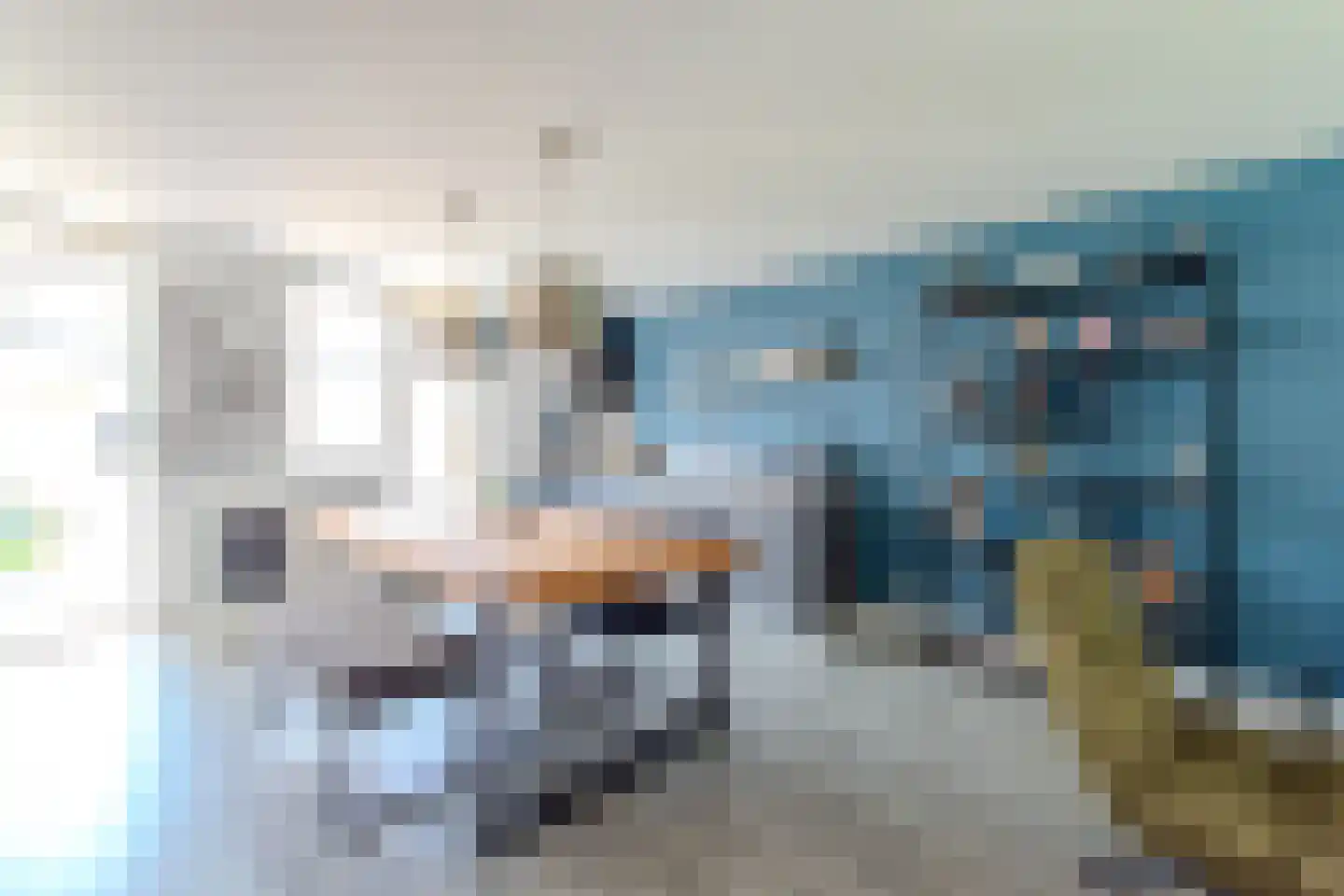 Zwedenpad 7 Bergen op Zoom thumbnail 11