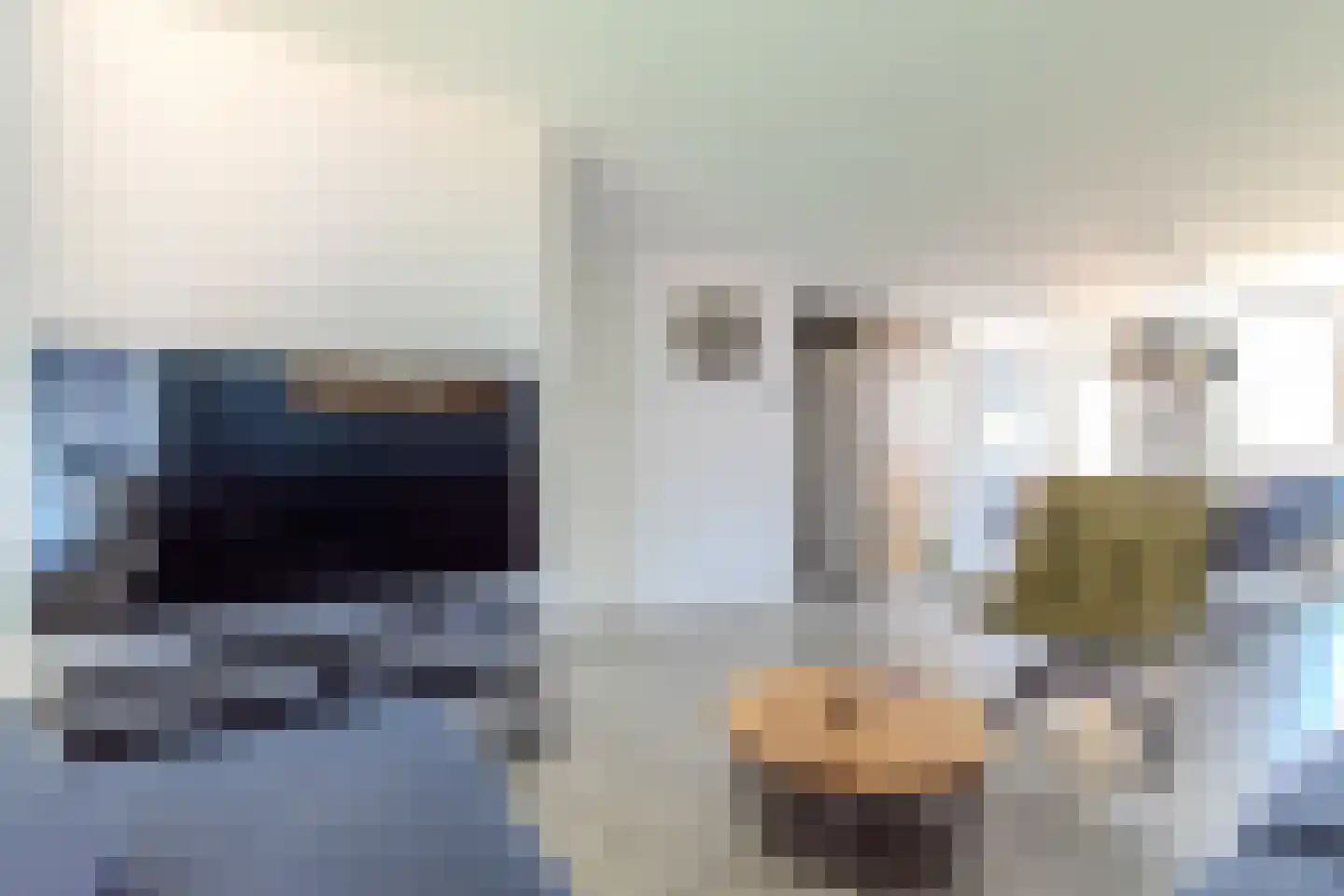 Zwedenpad 7 Bergen op Zoom thumbnail 17