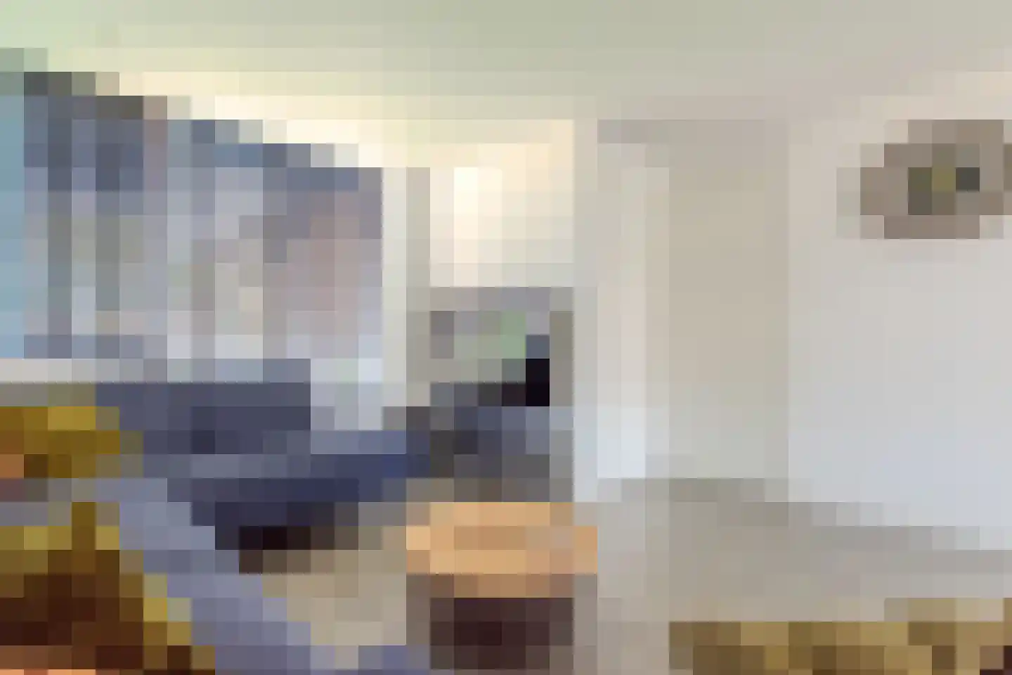Zwedenpad 7 Bergen op Zoom thumbnail 21