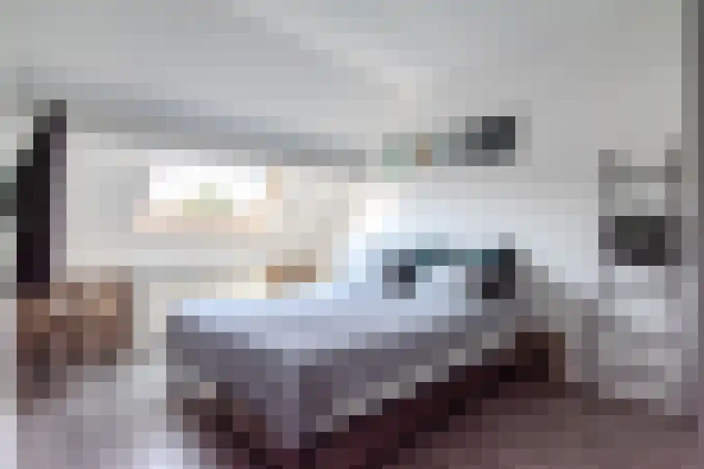 Zwedenpad 7 Bergen op Zoom thumbnail 24