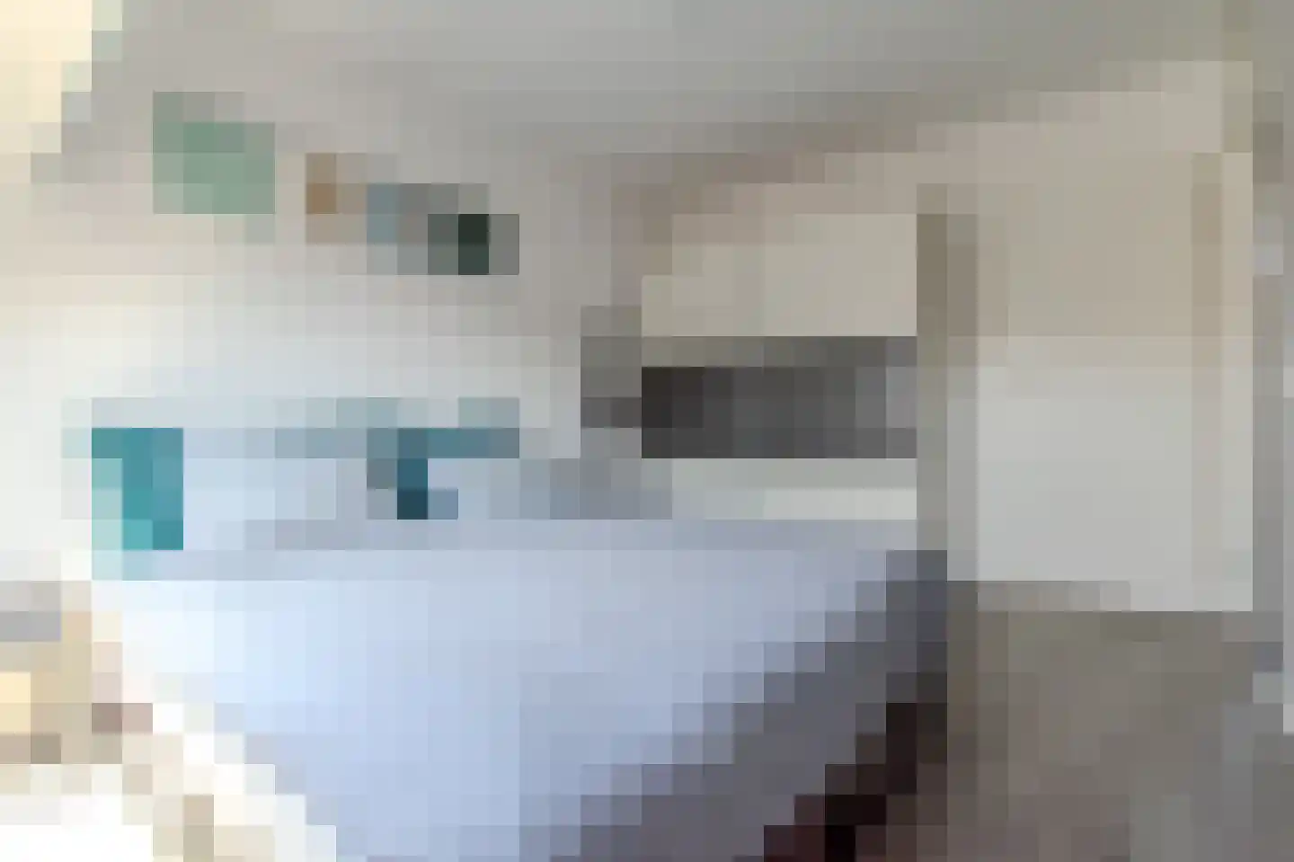 Zwedenpad 7 Bergen op Zoom thumbnail 25