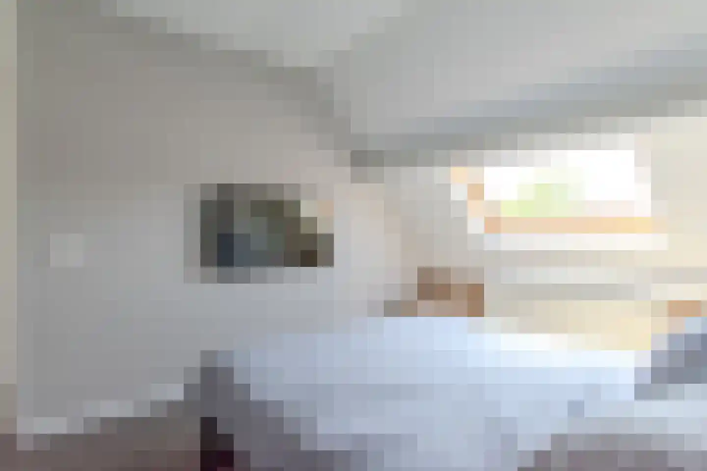 Zwedenpad 7 Bergen op Zoom thumbnail 26