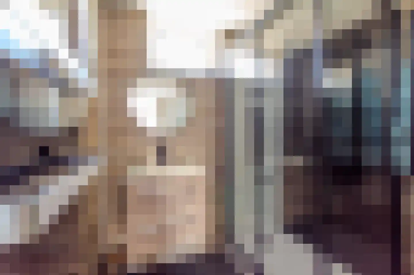 Zwedenpad 7 Bergen op Zoom thumbnail 30