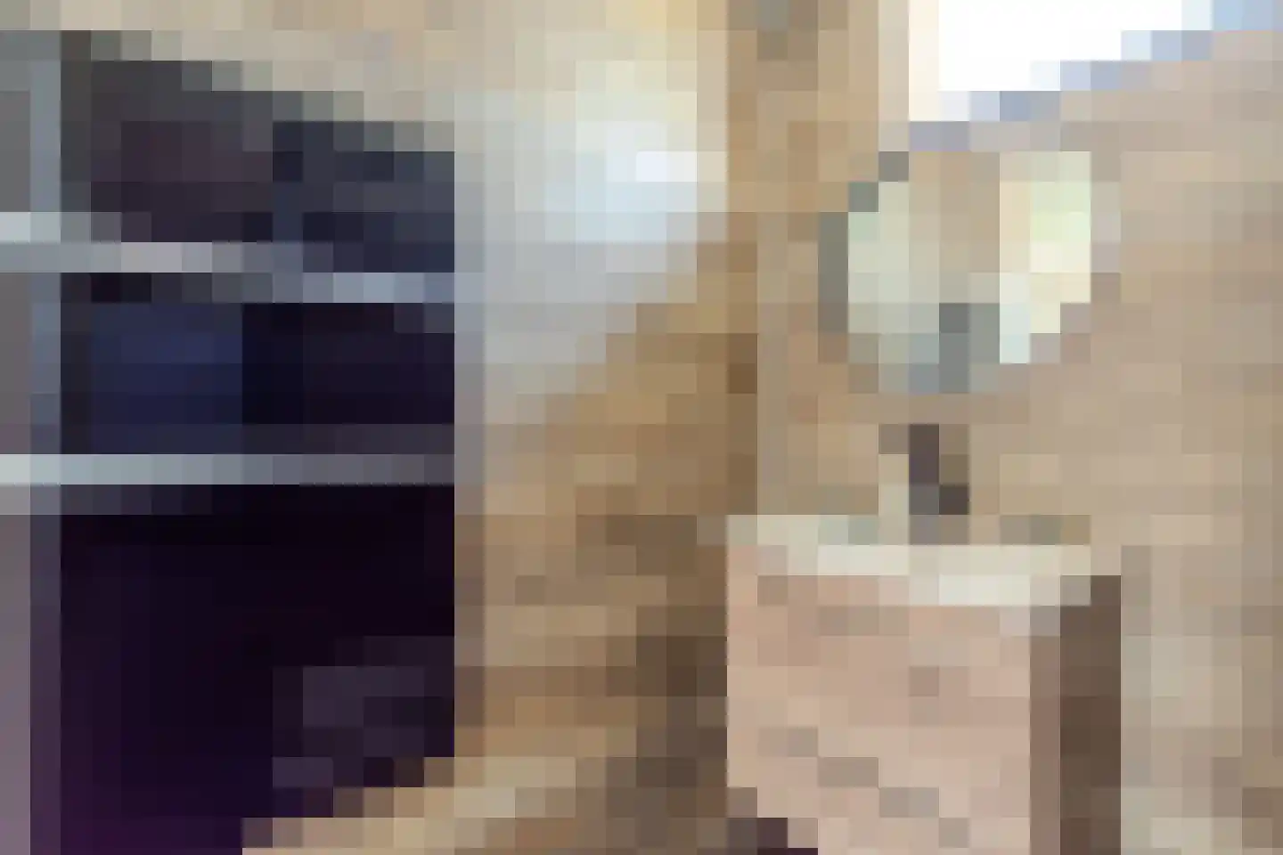 Zwedenpad 7 Bergen op Zoom thumbnail 31