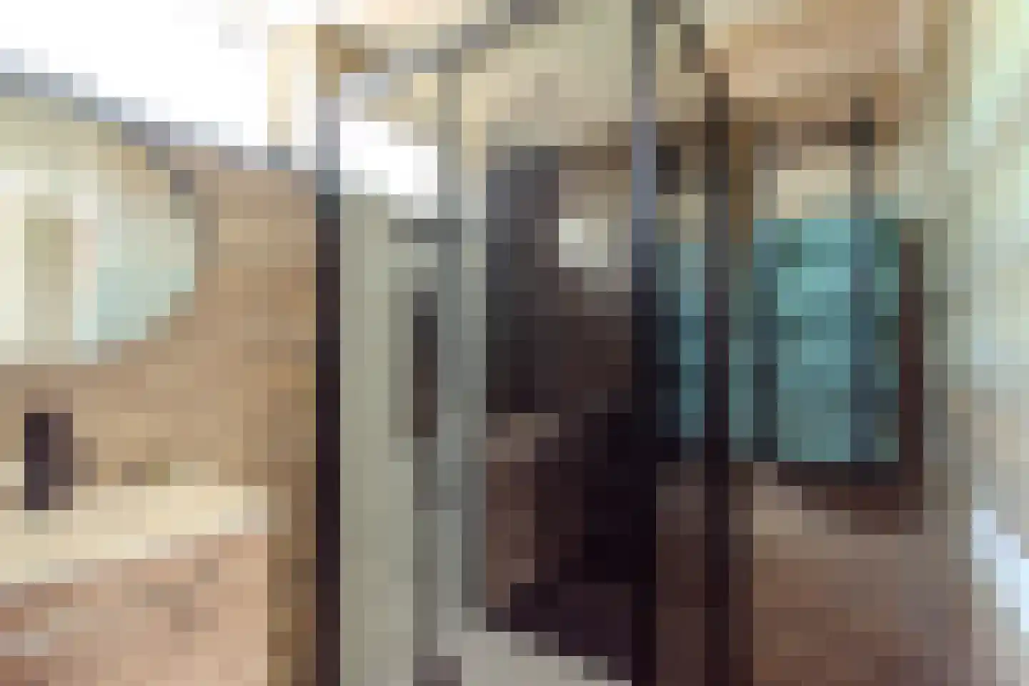 Zwedenpad 7 Bergen op Zoom thumbnail 32