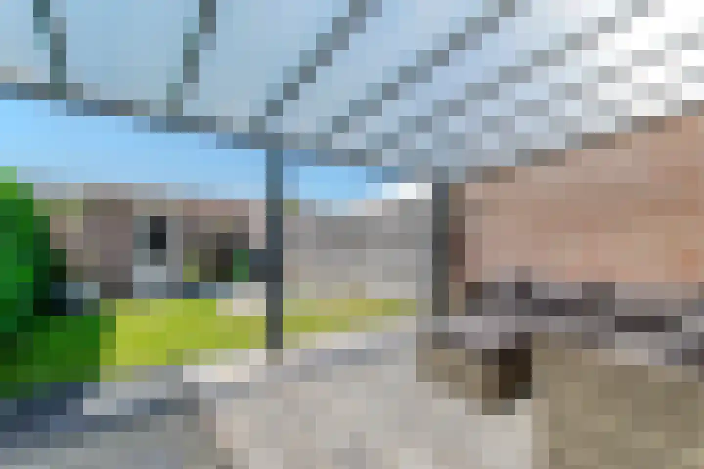Zwedenpad 7 Bergen op Zoom thumbnail 42