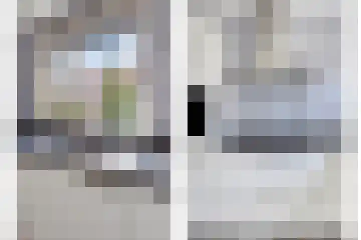 Zwedenstraat 11 De Lier thumbnail 10