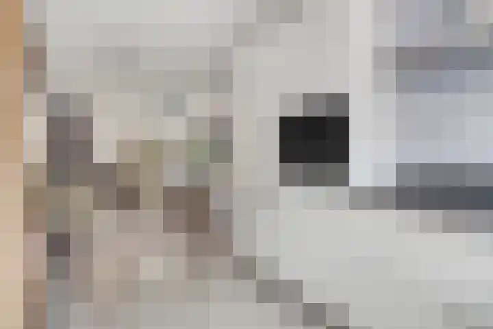 Zwedenstraat 11 De Lier thumbnail 11