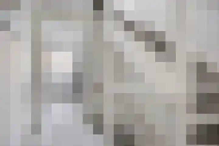 Zwedenstraat 11 De Lier thumbnail 12