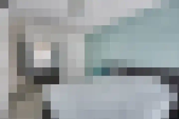 Zwedenstraat 11 De Lier thumbnail 14