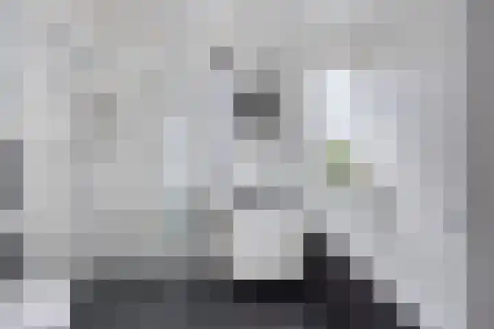 Zwedenstraat 11 De Lier thumbnail 15