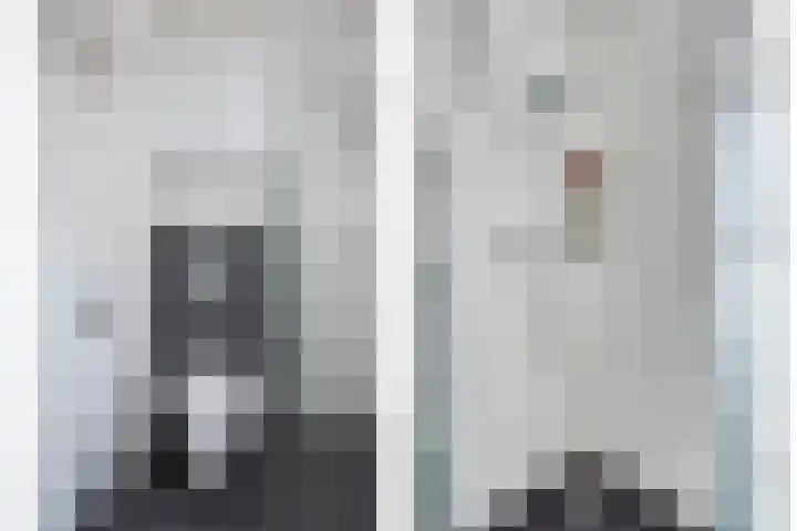 Zwedenstraat 11 De Lier thumbnail 16