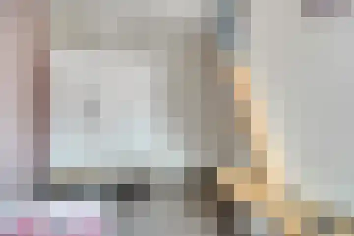 Zwedenstraat 11 De Lier thumbnail 18