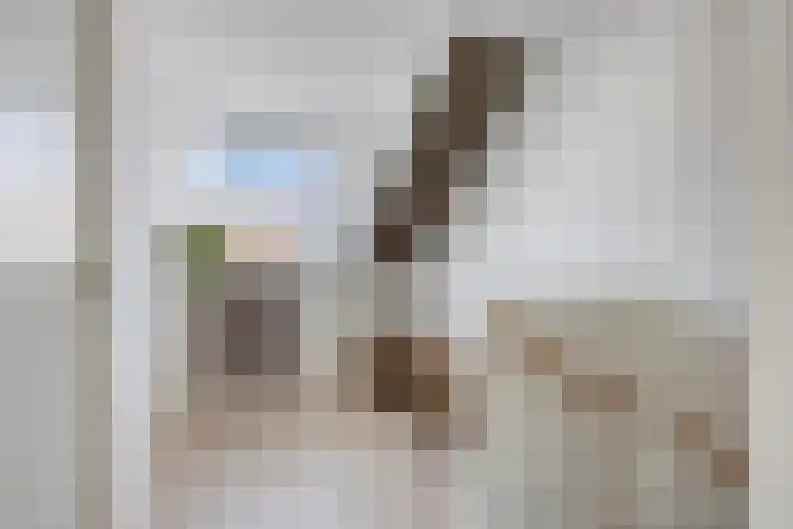 Zwedenstraat 11 De Lier thumbnail 20