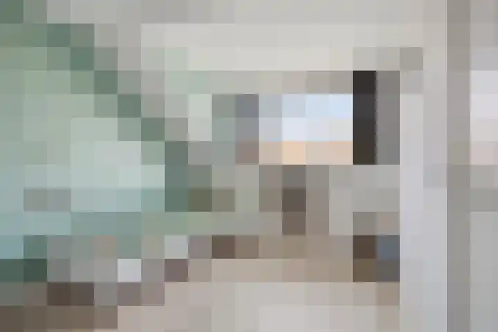 Zwedenstraat 11 De Lier thumbnail 21