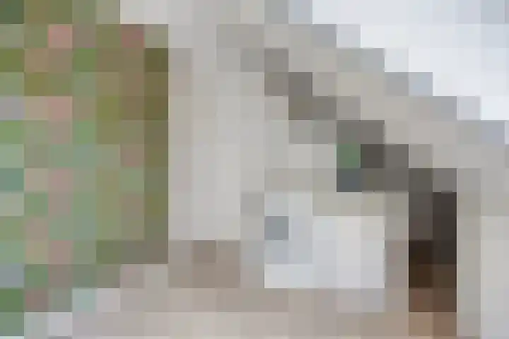 Zwedenstraat 11 De Lier thumbnail 24