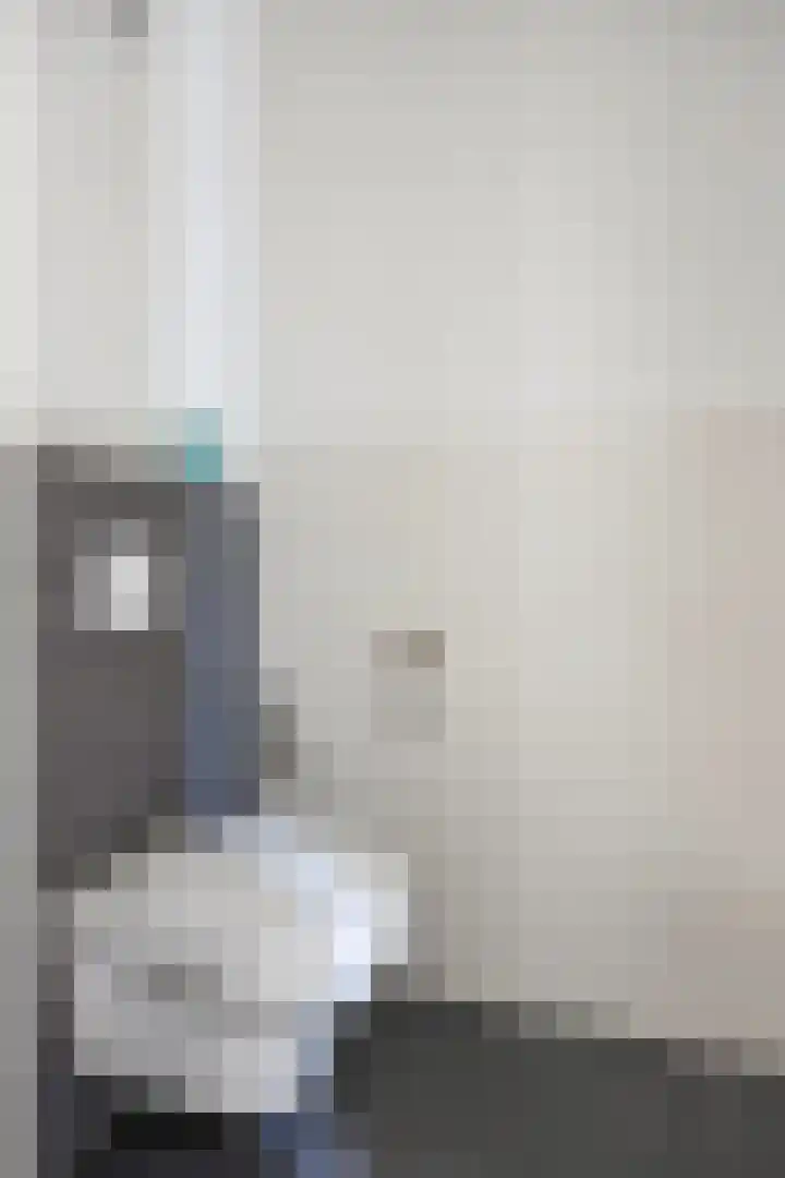 Zwedenstraat 11 De Lier thumbnail 4