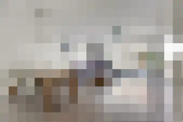 Zwedenstraat 11 De Lier thumbnail 5