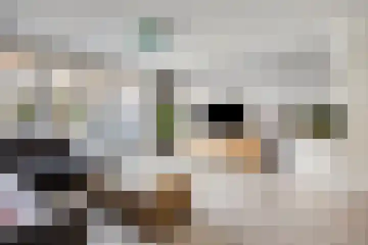 Zwedenstraat 11 De Lier thumbnail 6