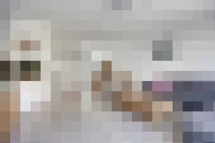 Zwedenstraat 11 De Lier thumbnail 7