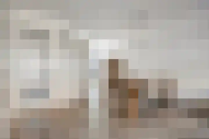 Zwedenstraat 11 De Lier thumbnail 8