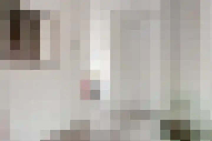 Zwedenstraat 28 De Lier thumbnail 11