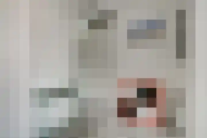 Zwedenstraat 28 De Lier thumbnail 12