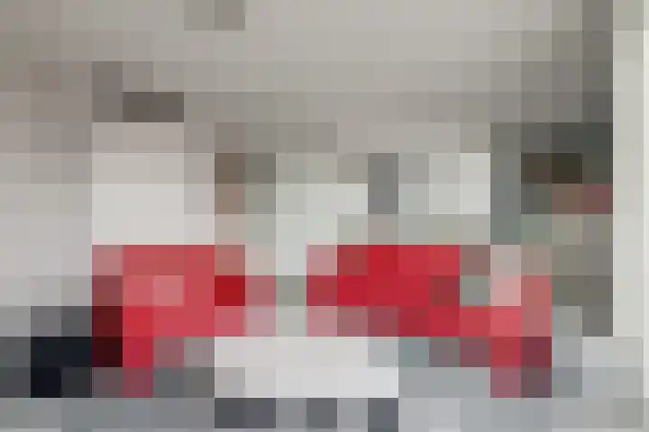 Zwedenstraat 28 De Lier thumbnail 13