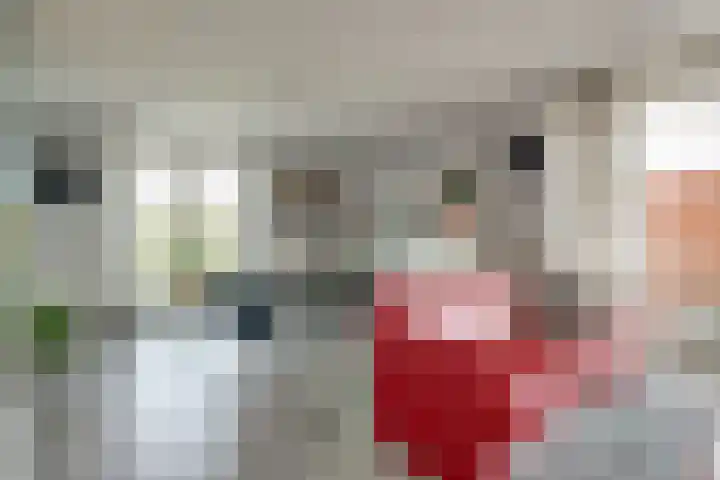 Zwedenstraat 28 De Lier thumbnail 14